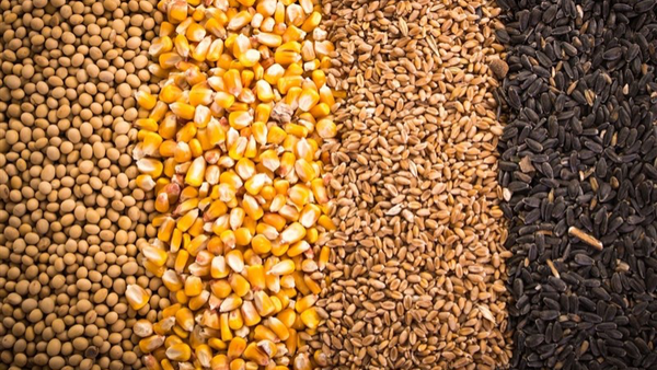 توزیع ۶ هزار تُن کود در خراسا‌ن‌شمالی